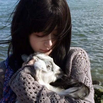 坚忍号：沙克尔顿的传奇南极远征